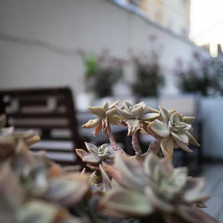 Koricanac Ii 公寓 *