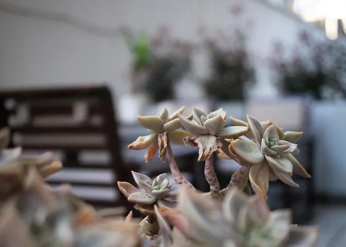 Koricanac Ii 公寓 *